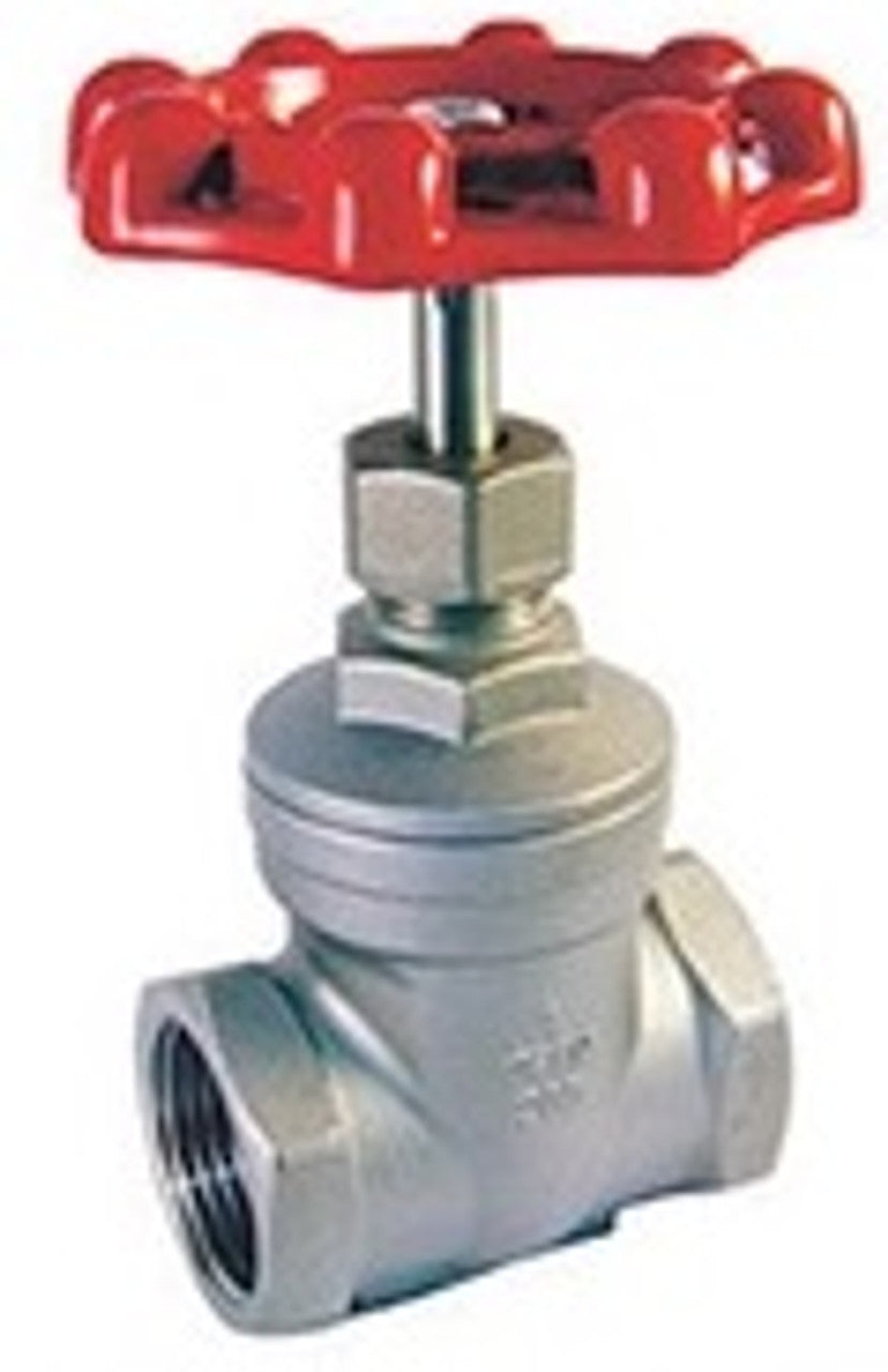 Globe Valve, 316 Stainless Steel Threaded FNPT Connections 200#
