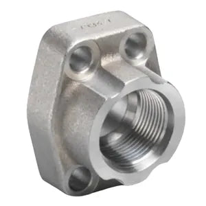 1/2" BSPP x 1/2" Code 61 BSPP Threaded Flange, Stainless Steel, Flat Face, No Bolts/O-Rings - W193-8-8-SS