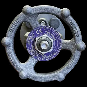 Bonney Forge Gate Valve HL11SW