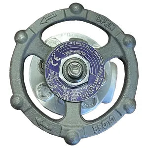 Bonney Forge Gate Valve HL18LSW