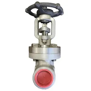 Bonney Forge Stainless Gate Valve