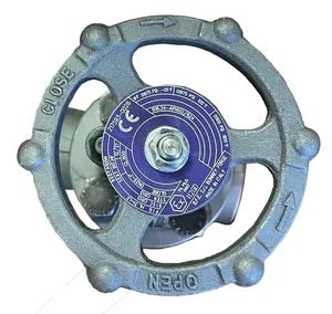 Bonney Forge Globe Valve HL31SW