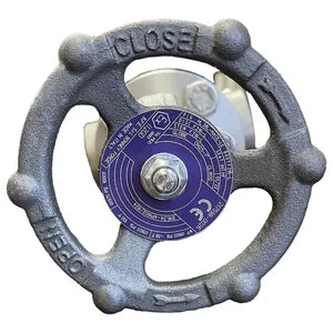 Bonney Forge Globe Valve HL38LT