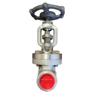 Bonney Forge Stainless Globe Valve