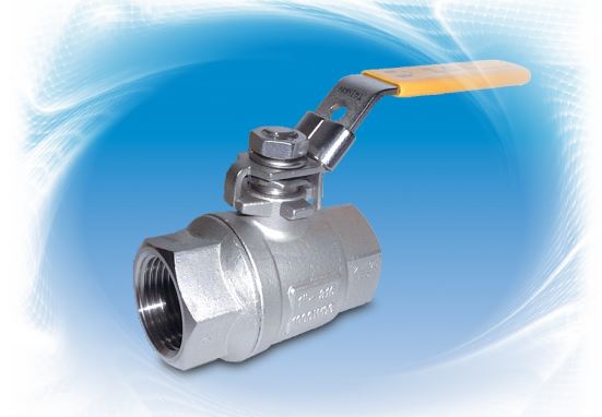 2-1/2" Ball Valve 1000# 316 2-Piece Full Port Threaded TCI TC-02X