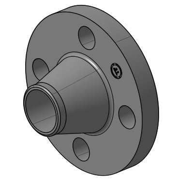 300# Stainless Steel Weld Neck Flange 304L