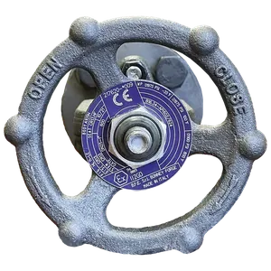 Gate Valves