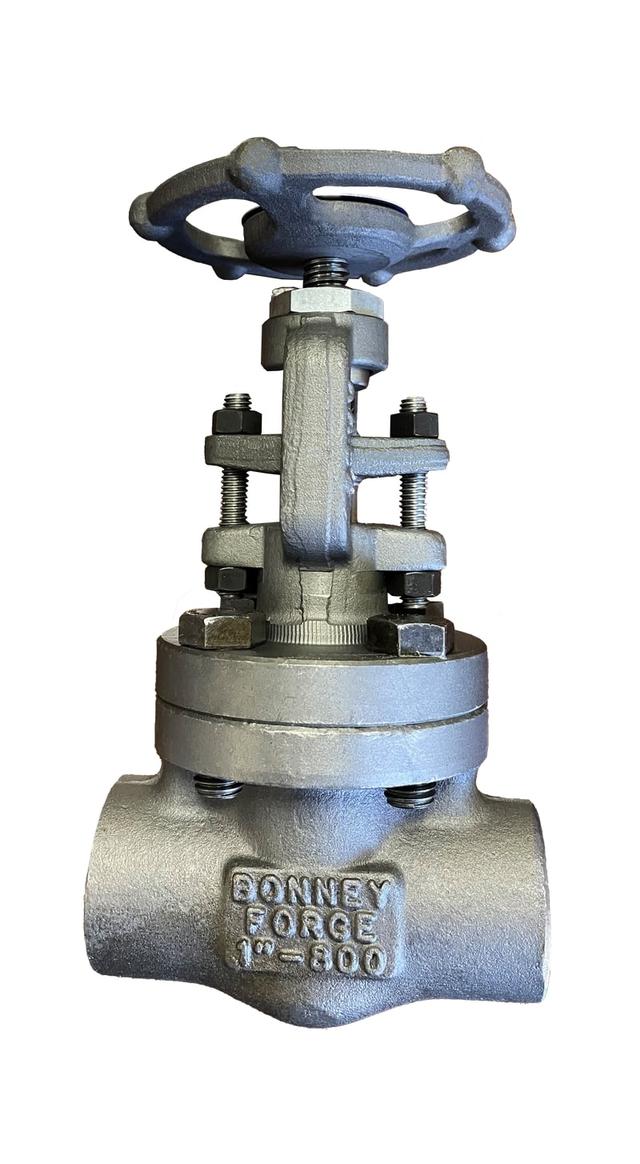 Bonney Forge® - Globe Valves Image