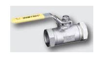 Warren Valve - Ball Valves Image