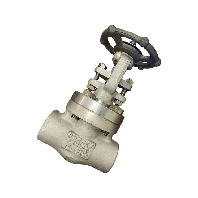 Bonney Forge® - Gate Valves Image